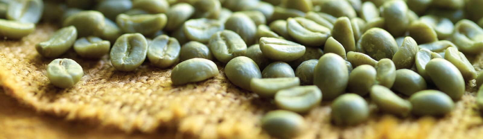 Green coffee beans on hessian