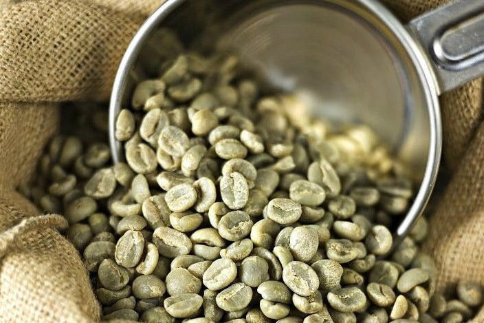Green coffee beans spilling from a measure
