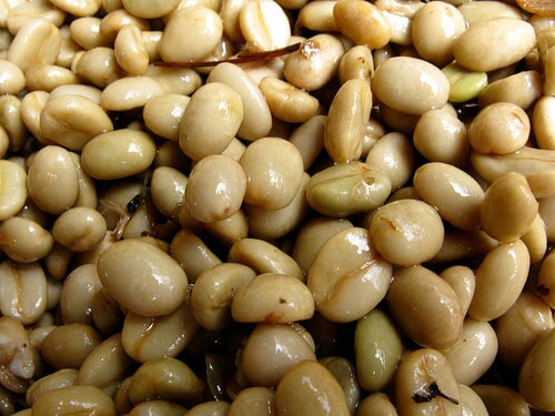 Wet pale green coffee beans