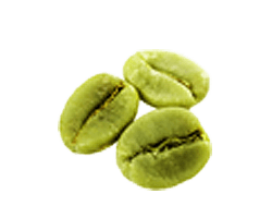 Green coffee beans